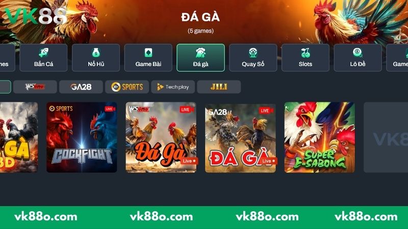 Khám phá sảnh đá gà của nhà cái VK88