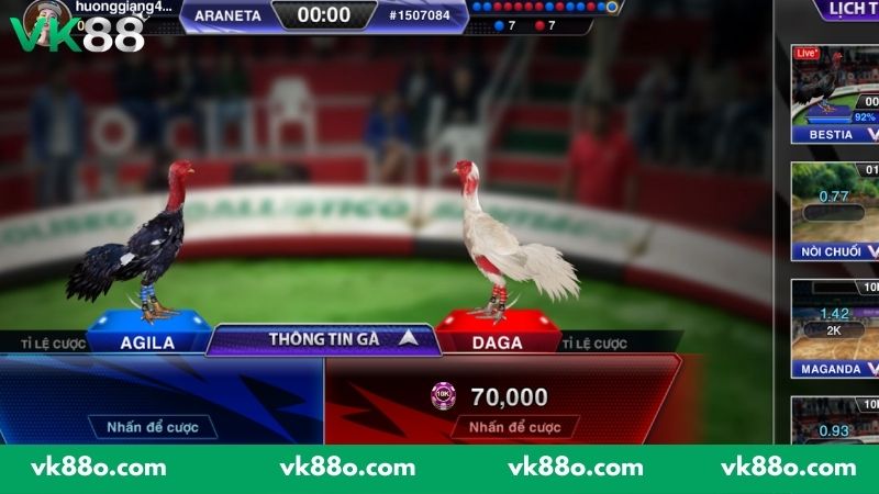 Những hình thức đá gà được người chơi VK88 yêu thích